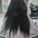 참좋은미용실 네이버블로그