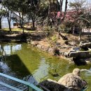 회정숯불구이 이미지