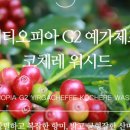 제이엠디(JMD)