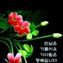 행복통신 네이버블로그