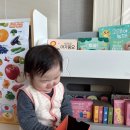 나비야놀자 | 블루래빗 첫 토이북 베이직 세트 아기 발달 장난감 출산 선물 추천