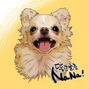 듀펫 - 의정부시 시민로 100 | 듀펫