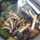 원천오리 이미지