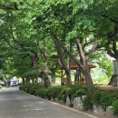 도덕2리 이미지