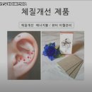 헬로우바디체인지2
