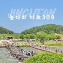 미르푸드