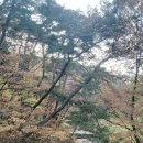 은혜사 앞 이미지