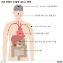 오복만세치과의원 이미지