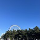 노을이머무는집 | 강아지와 편하게 머무는 국내 단기숙소, 진짜 후기 모음