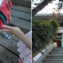 (유)현담 네이버블로그