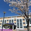 강원도농업기술원 미래농업교육원 | 춘천 겹벚꽃 명소 추천 5월 초 봄나들이 가기 좋은 분홍빛 꽃터널 데이트 코스 베스트 5