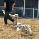 언더아멍 | 언더아멍