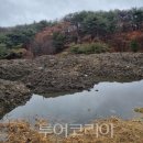 하늘마당펜션B 이미지