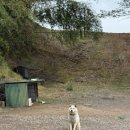 대원철뚝집 이미지