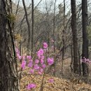 천마산 중구봉 | [인천] 계양산~중구봉~천마산 연계 산행 후기｜코스, 난이도, 소요시간