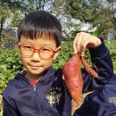 계상유치원 이미지