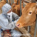 초동한우농장 이미지