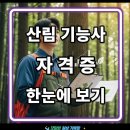 산림기능사 국가기술자격증 과정 네이버블로그