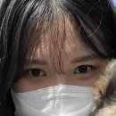 유얼브로우