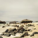 고명치킨 이미지