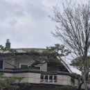 수정초등학교 사거리 이미지