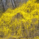 제주청년회 이미지