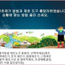 텃밭 농사 도움될 유튜브 찾아 공부 이미지