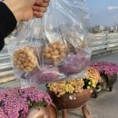 달콤쌀쌀 이미지