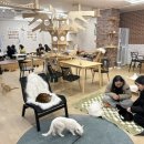 캣카페 집사의하루 분당점 이미지