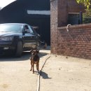 무지내주유소 이미지