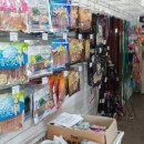 E-Pet 강아지&고양이용품할인마트 이미지