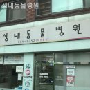 성내동물병원 네이버블로그