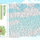 주식회사 명품 이미지