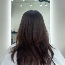 내포 미용실 주아르헤어 레이어드컷 내돈내산 후기