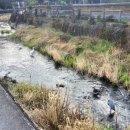 세라의 작은정원 | [일본, 후쿠오카] 여행