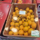 금호수산 | 부지런한식자재마트 금호점 오픈! 주차 편한 금호지구 마트 추천