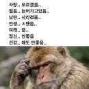 굿나잇