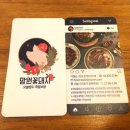 망원꽃돼지