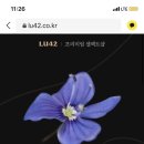 엔젤브레드 - 북구 용두동 | 엔젤브레드