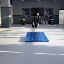 동양합기도 무술관 이미지