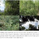 백운산녹차원 이미지