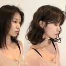 뉴코아 이미지