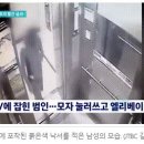 [news1] 탈세신고 앙심…고객 집에 '개보기' 붉은 래커 테러한 인테리어 사장 이미지