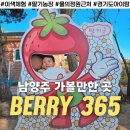 다솜농장 | 남양주 아이와 가볼만한 곳 Berry365 물의정원 근처 이색체험 놀거리 추천
