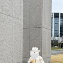 아가방플렉스유성NC 이미지