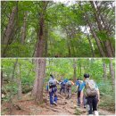 어비산 정상(829m) 이미지