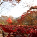 국립청주박물관 이미지