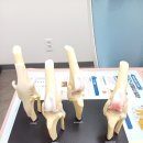 우리 동물병원 이미지