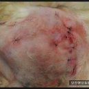 행담 동물병원 이미지