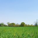 율암농장 이미지